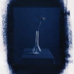 cyanotype002